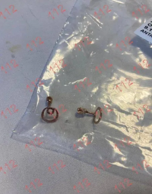 Серёжки, найденные на теле погибшей, которые опознала семья Ирины