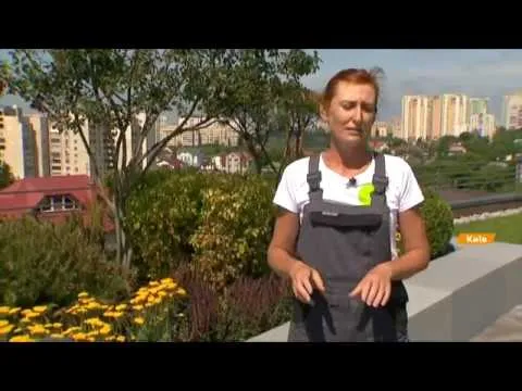 Нажми и смотри