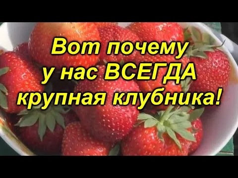 Нажми и смотри