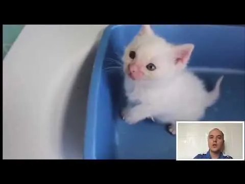 Нажми и смотри