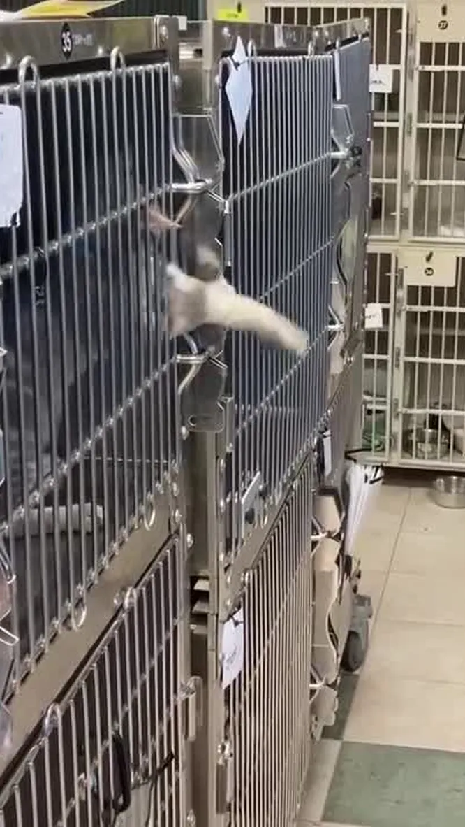 Нажми и смотри