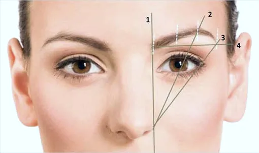 10 частых ошибок при оформлении бровей: фото и лайфхаки макияжа 10 частых ошибок при оформлении бровей: фото и лайфхаки макияжа