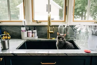 Уберите это немедленно! Семь предметов декора, которым не место на кухне Уберите это немедленно! Семь предметов декора, которым не место на кухне