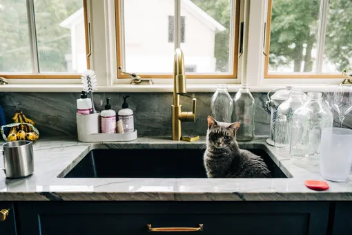 Уберите это немедленно! Семь предметов декора, которым не место на кухне