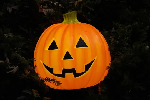 хэллоуин, тыква на праздник хэллоуин, тыква на праздник