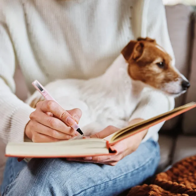 Как вести дневник тренировок и достижений вашей собаки