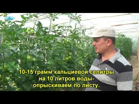 Нажми и смотри