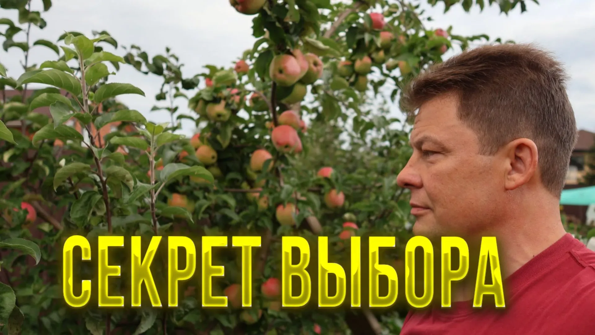Нажми и смотри