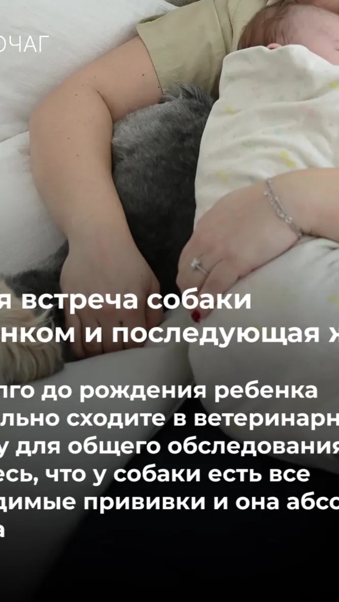 Нажми и смотри