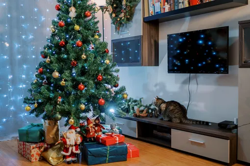 Что нужно добавлять в воду для новогодней ёлки и кот