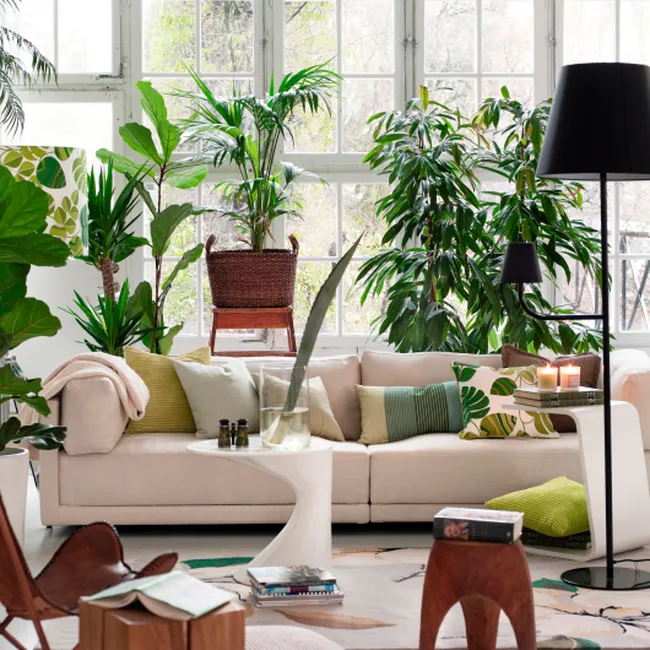 Дом, милый дом: лучшие тренды в дизайне интерьера в 2024 году