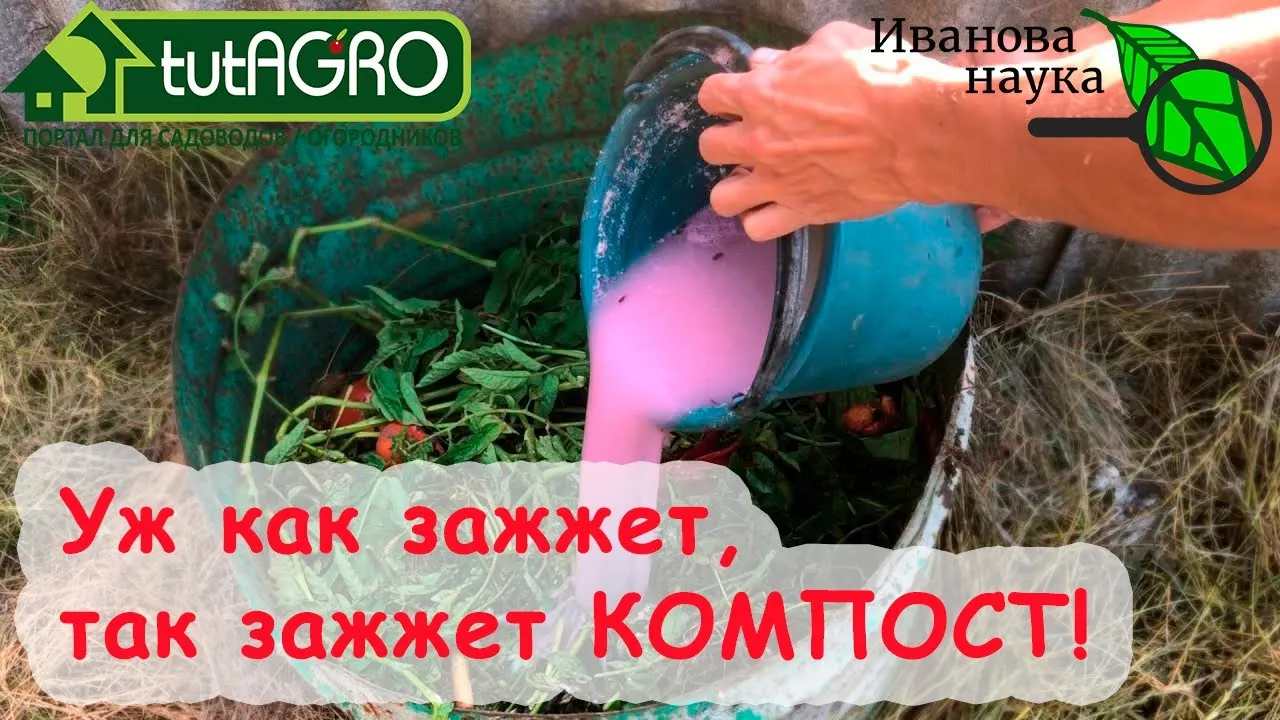 Нажми и смотри Нажми и смотри