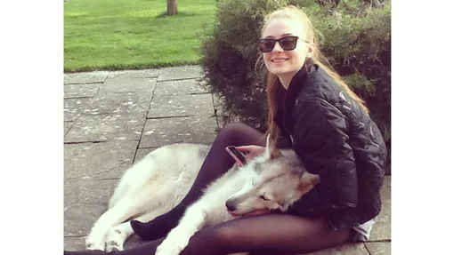 санса старк