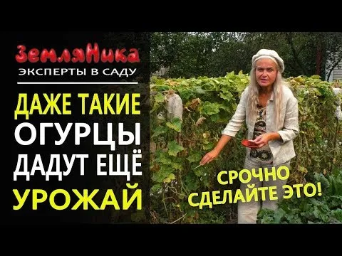 Нажми и смотри
