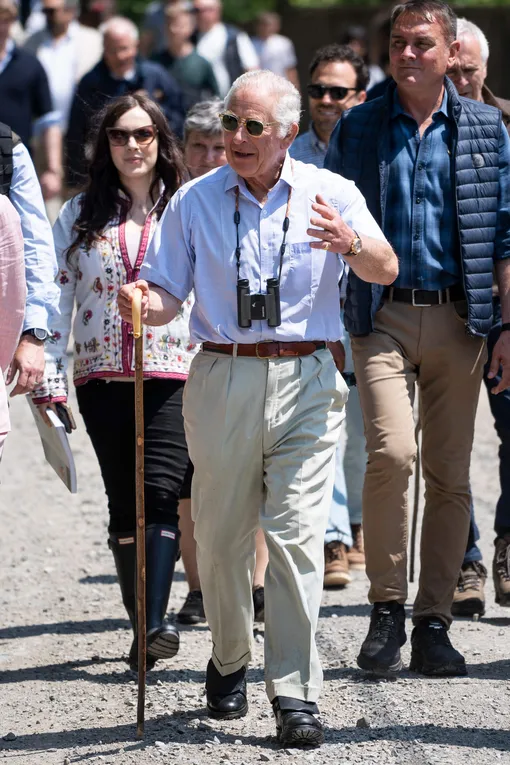 Карл iii скандинавская ходьба Карл iii скандинавская ходьба