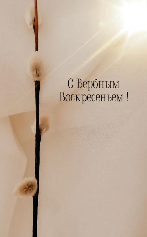 Открытка с Вербным воскресеньем