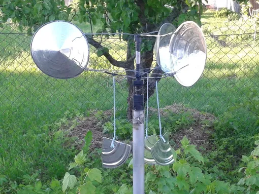 Как защитить молодую яблоню от зайцев и грызунов зимой Как защитить молодую яблоню от зайцев и грызунов зимой