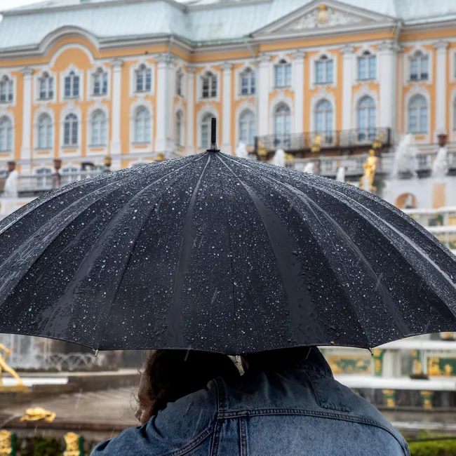 Когда в Петербург придут первые заморозки: после дождливых выходных погода резко изменится