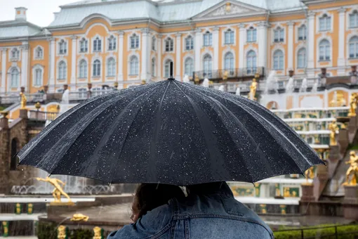 Когда в Петербург придут первые заморозки: после дождливых выходных погода резко изменится Когда в Петербург придут первые заморозки: после дождливых выходных погода резко изменится