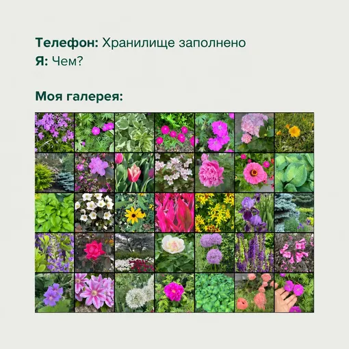мем про дачу
