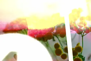 Летний бранч в честь выхода журнала «Новый очаг» с Идой Галич на обложке