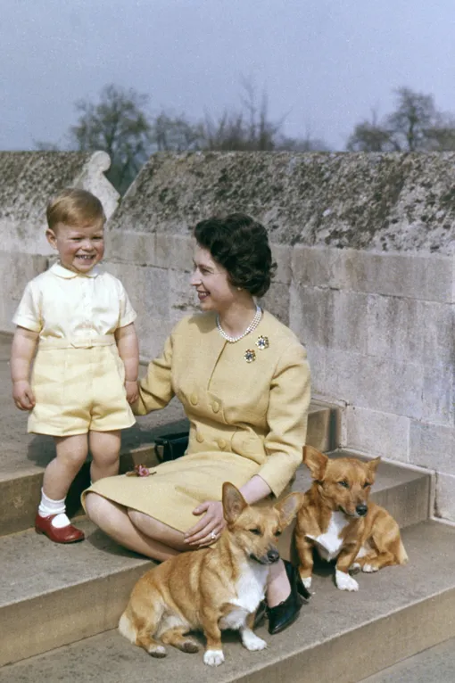 Елизавета II обожала корги Елизавета II обожала корги