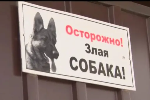 Мать прикрыла ребёнка своим телом, спасая от двух разъярённых собак Мать прикрыла ребёнка своим телом, спасая от двух разъярённых собак