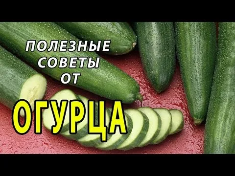 Нажми и смотри
