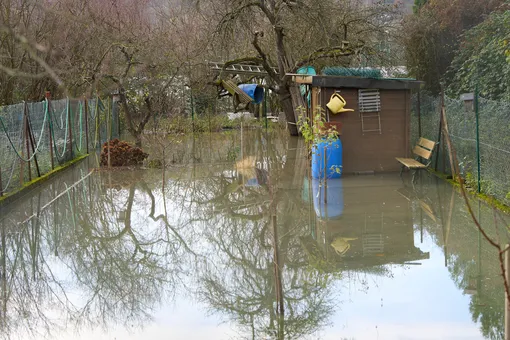 Весеннее затопление дачного участка: что делать и как спасти посадки? Весеннее затопление дачного участка: что делать и как спасти посадки?