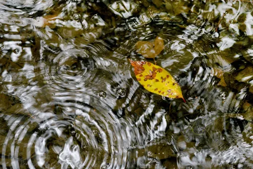 какая погода будет в длинные выходные в разных регионах России какая погода будет в длинные выходные в разных регионах России