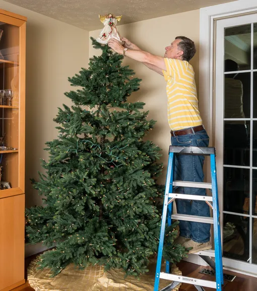Помогут перчатки: как правильно распушить искусственную ёлку, чтобы она выглядела нарядной