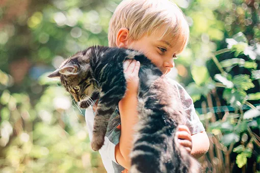 Ребенок или котенок? Ребенок или котенок?