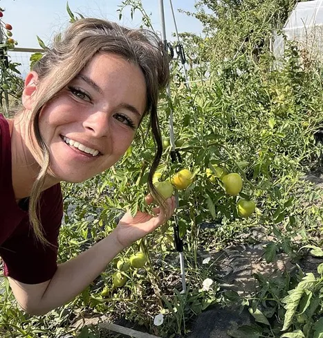 Губба Губба