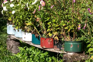 Вместо утиля — на дачу: как использовать старые кастрюли, чтобы не пылились в углу Вместо утиля — на дачу: как использовать старые кастрюли, чтобы не пылились в углу