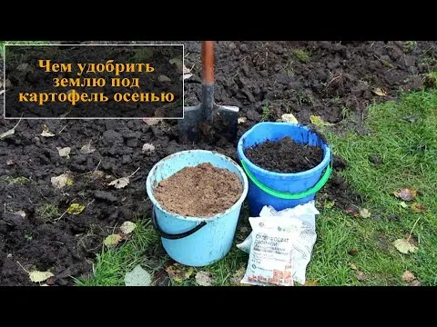 Нажми и смотри
