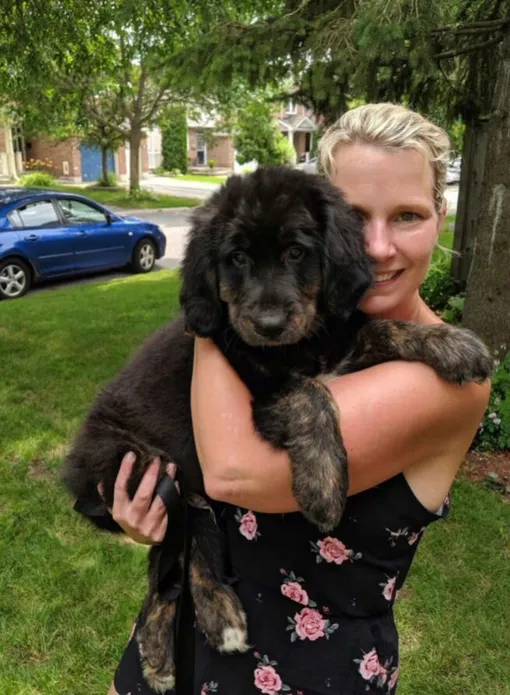 большой трусливый пес большой трусливый пес