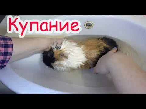 Нажми и смотри