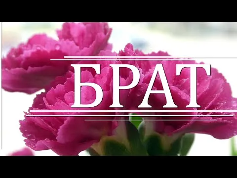 Нажми и смотри