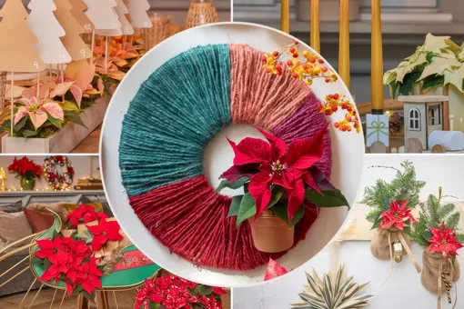 Забудьте про ёлку! 30 гениальных идей с пуансеттией на Новый 2026 год