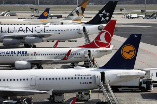 Куда смогут полететь россияне с 1 августа? Список городов-курортов, где нас ждут Куда смогут полететь россияне с 1 августа? Список городов-курортов, где нас ждут