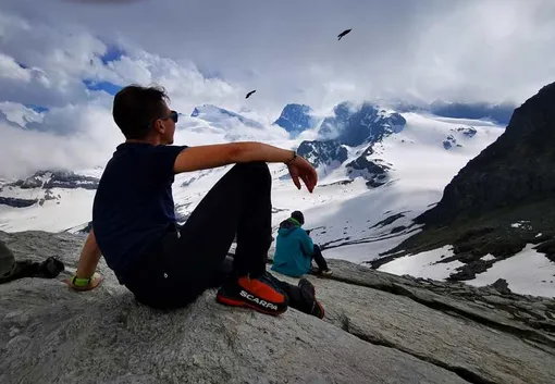 лука синегалья