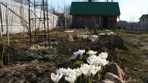 Лунный посевной календарь садовода и огородника на неделю: с 27 апреля по 3 мая 2026 года