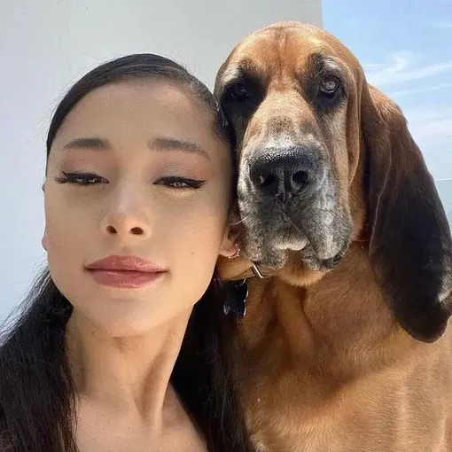 ариана гранде