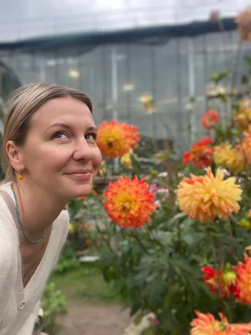 Уход за теплицей зимой Уход за теплицей зимой