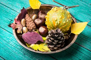 Пластиковые тыквы и декоративные подносы: 5 осенних трендов, которые мгновенно делают дом безвкусным