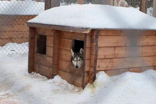 5 мест, в которых никогда нельзя оставлять запасной ключ от дома или дачи, и 7 безопасных альтернатив