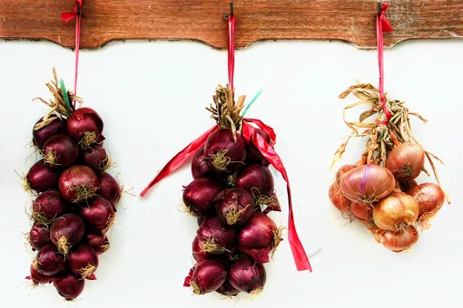 Секрет длительного хранения лука: всё, что нужно знать о правильной сушке Секрет длительного хранения лука: всё, что нужно знать о правильной сушке