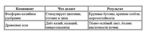 ⚠️ Важно. Схема работает на кислых и нейтральных почвах. Если pH > 7,5 (щелочной чернозём) — золу исключите. ⚠️ Важно. Схема работает на кислых и нейтральных почвах. Если pH > 7,5 (щелочной чернозём) — золу исключите.
