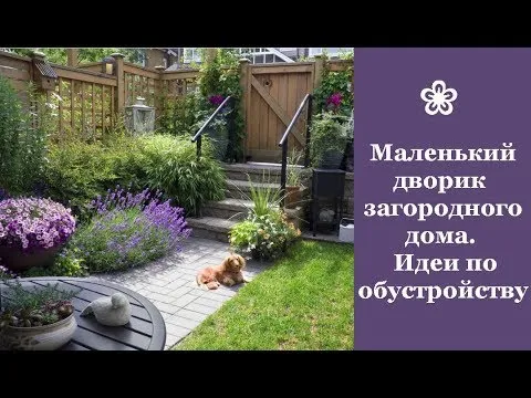 Нажми и смотри