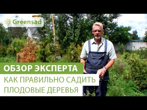 Нажми и смотри